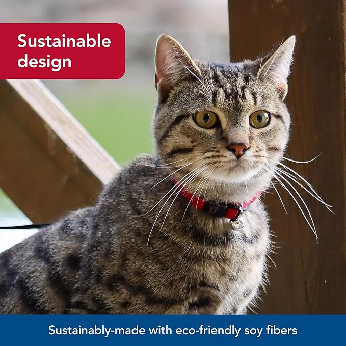 Coastal Pet New Earth Soy Adjustable Breakaway Cat Collar - Eco-Friendly, Odor-Resistant and Adjustable Cat Collar, Rose, 3/8" x 08"-12"