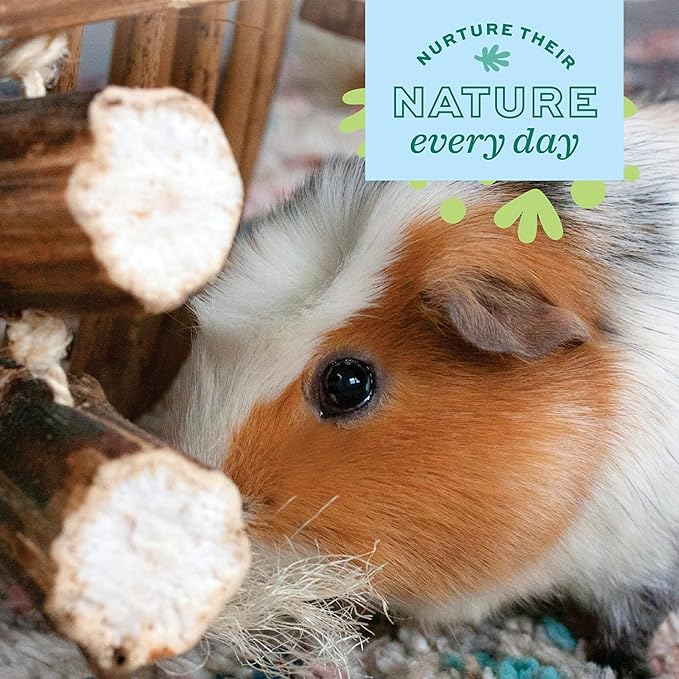 Oxbow Enriched Life Natural Dangly Party Pack, Rabbit Toys, Guinea Pig Toys, Enrichment for Bunny, Guinea Pig, Hamster Stuff, Rabbit Enrichment, Chinchilla, Rat, Chinchilla Cage Accessories