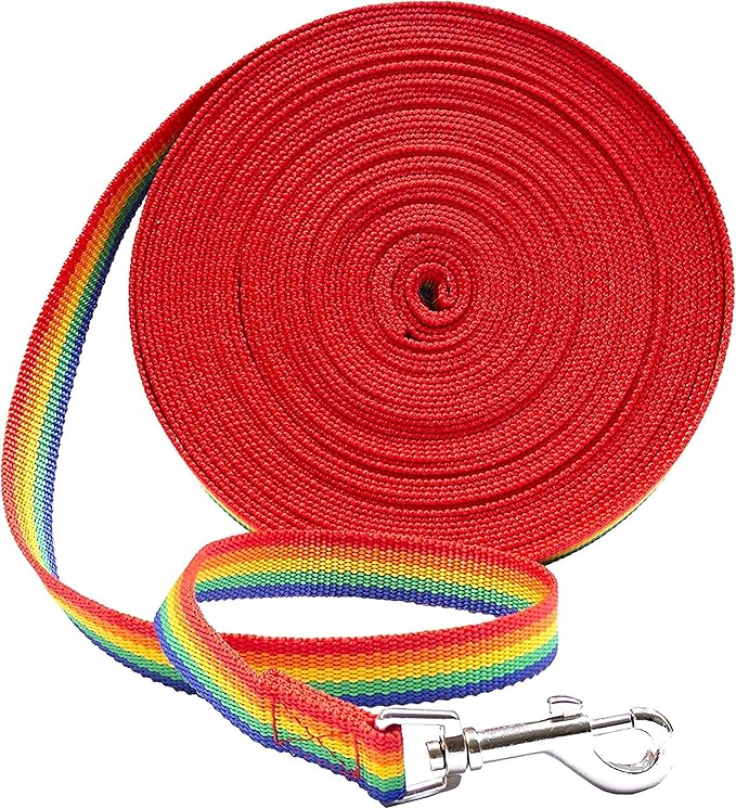 Downtown Pet Supply - Long Rainbow Dog Leash - 150 ft Nylon Training Tool for Recall & Obedience
