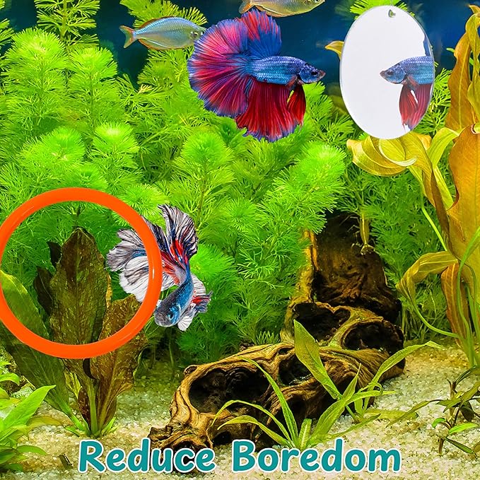 Betta Mirror Enrichment Fish Toys Stimulation, 2 pcs Exercise Feeding Rings And Training Mirror With Floating Ball Toy, Betta Fish Tank Accessories, Small Aquarium Tank Decoration (Orange, M)