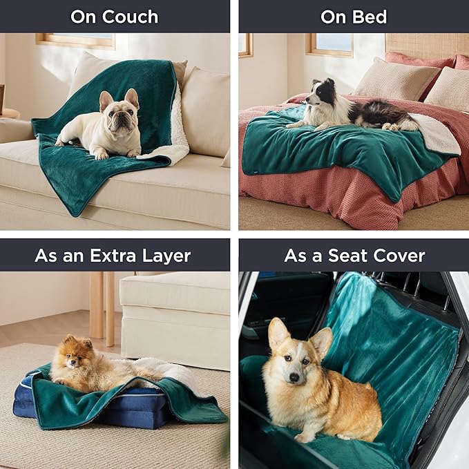 Bedsure Cat Blanket for Indoor Cats - Waterproof Calming Cat Blankets for Couch Protection, Sherpa Fleece Pet Blanket, Soft Plush Reversible Throw Furniture Protector, 40"x30", Green