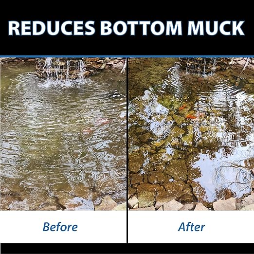CrystalClear MuckOff, Natural Pond Muck Treatment, Water Garden, Fountain & Bird Bath Sludge Remover, Living Beneficial Bacteria Clarifier with Enzyme, Fish, Aquatic Animal, & Pet Safe, 24 Tablets