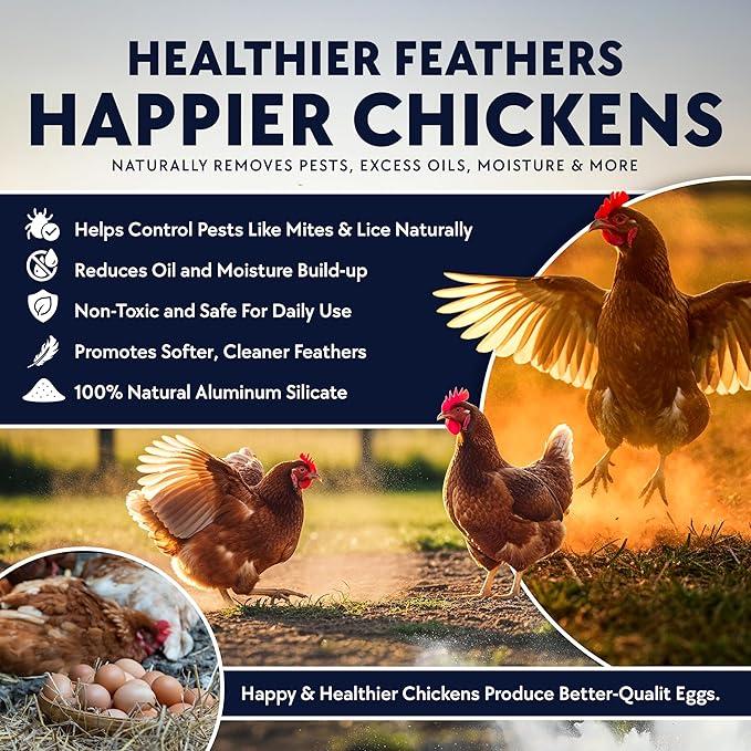 5.5lb Chickie-Whiz Chicken Dust Bath - Made in USA - All Natural Volcanic Ash Dust Bath for Chickens - Healthier Eggs & Feathers - Chicken Coop Accessories for Farms by Billy Buckskin Co.