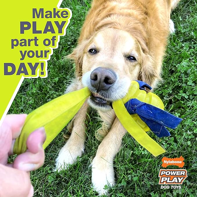 Nylabone Power Play Gripz Felt Basketball Rubber Fetch Toy, Squeaky Ball for Dogs, Large (1 Count)