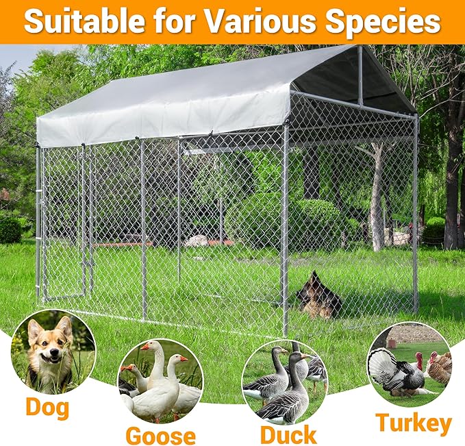 Outdoor Dog Kennel Large with Roof, Dog Run Enclosure, Large Outside Heavy Duty Dog Pens House Pet Playpen with Galvanized Chain Link Waterproof Cover (10'Lx6'Wx7.65'H)