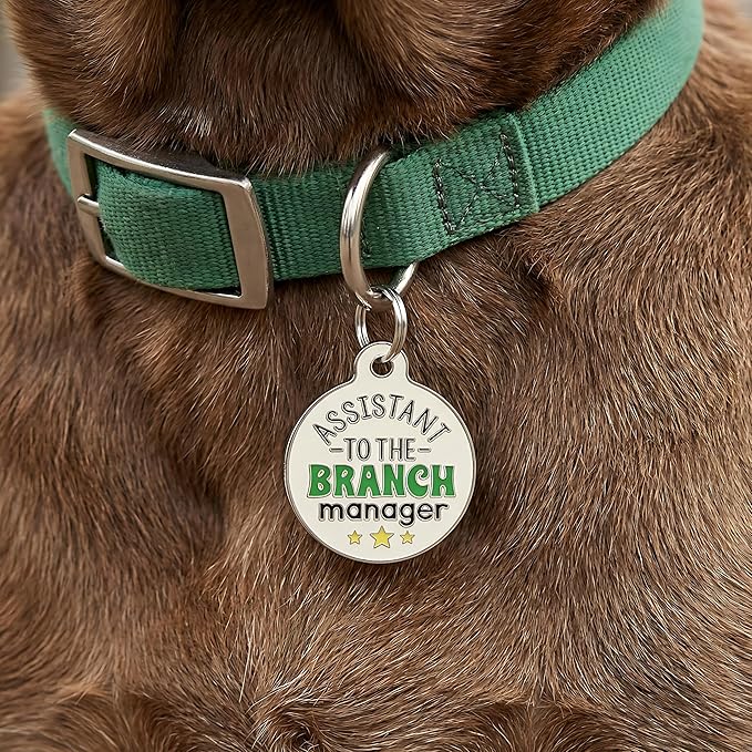 Bad Tags Personalized Dog and Cat ID Tags in 25+ Designs and 2 Sizes - 5 Lines of Custom Engraved Text - Funny Cute Personalized Pet Tags (Assistant to The Branch Manager, Small (1 inch))