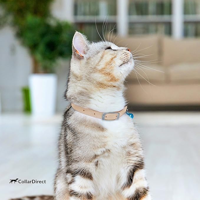 CollarDirect Leather Cat Collar with Removable Bell (Beige, 8-11 Inch)
