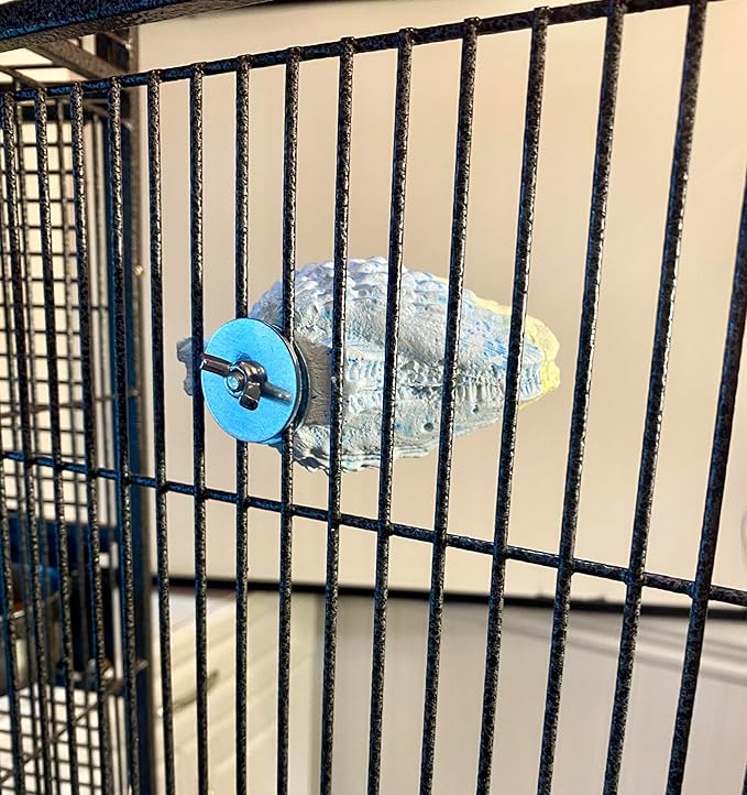 Polly's Comfy Clam Parrot Cage Flat Bird Perch for Macaws, Parakeets, Cockatiels, African Greys, Amazons and More (Blue/Yellow, Small)
