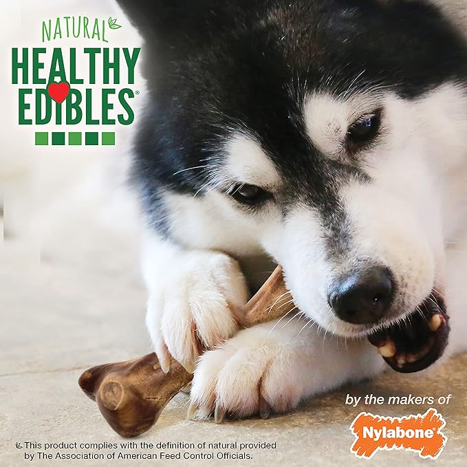 Nylabone Healthy Edibles WILD Natural Dog Chew Treats for Large Dogs, Long Lasting Dog Chew Bones Made in USA, Bison Flavor, For Dogs Up to 50 lbs. (1 Count)