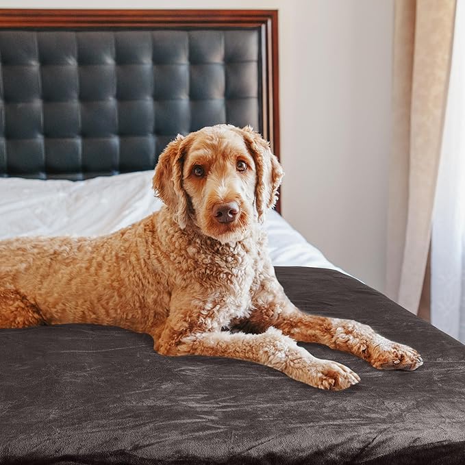 PETMAKER Dog Blanket - 60x70in Reversible Sherpa Blanket - Throw Blankets for Bed, Couch, or Car - Machine Washable Puppy Essentials (Charcoal)