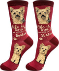 E&S Pets Pet Lover Socks - Dog & Cat Socks - Unisex Novelty Gifts
