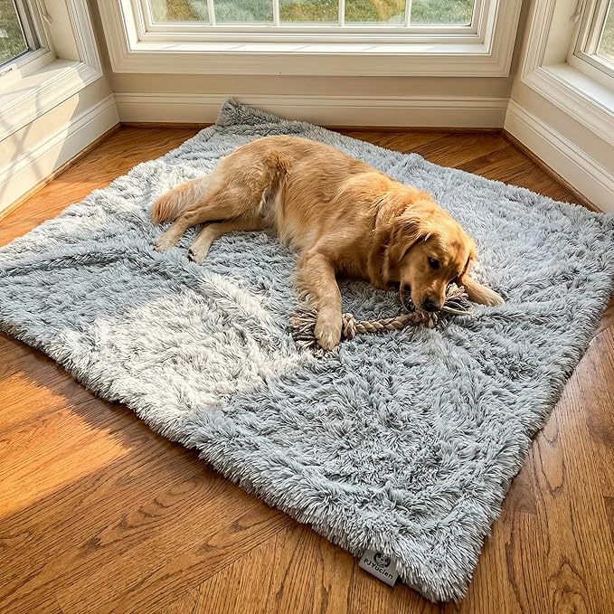 PJYuCien Dog Blankets for Large Dogs Washable - Fluffy Fuzzy Cat Blanket for Couch, Puppy Throw for Furniture with Polyester Fleece, Super Soft Plush for Pet Kitten Doggy, Grey, 60" x 80"