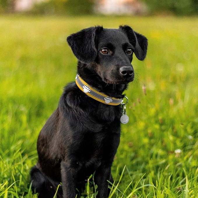 PETCARE Reflective Dog Collar with Cute Paw Rivet Studded Funny Soft PU Leather Adjustable Puppy Dog Collars for Small Medium Large Dogs Cats (Yellow,Medium)