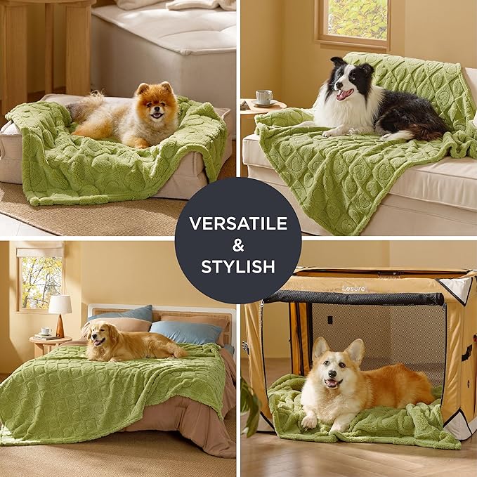 Bedsure Dog Blanket for Medium Dogs Washable - Fluffy Fuzzy Puppy Cat Blanket with Premium 300GSM Coral Fleece Soft for Pet Kitten Doggy, Green, 30x40IN