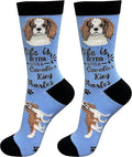 E&S Pets Pet Lover Socks - Dog & Cat Socks - Unisex Novelty Gifts