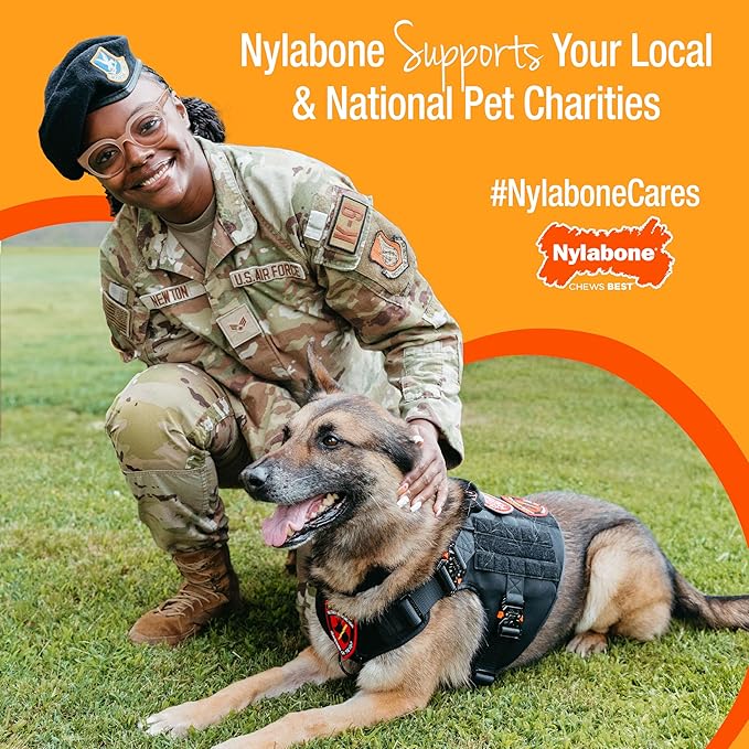 Nylabone Limited Edition 70th Birthday Textured Bone Power Chew Toy for Dogs, Durable & Tough Dog Toys for Aggressive Chewers, Roasted Chicken Flavor, X-Small Dogs - Up to 15 lbs (1 Count)