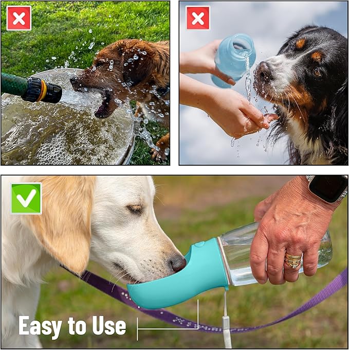 Mr. Pen- Dog Water Bottle, 19 oz, Large, Aqua Blue, Portable Dog Water Bottle Dispenser, Not Dishwasher Safe