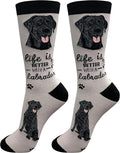 E&S Pets Pet Lover Socks - Dog & Cat Socks - Unisex Novelty Gifts