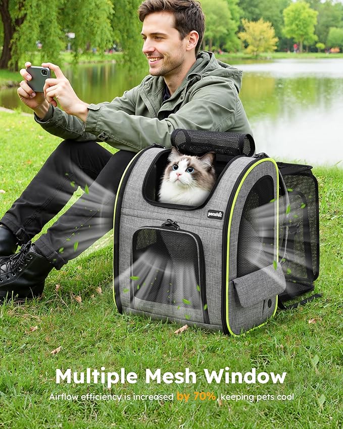 Pecute Cat Backpack Carrier XL, Expandable Pet Backpack for Cats & Small Dogs Up to 15lbs, with 4-Side Breathable Mesh, Multi-Entry & Lockable Zippers for Travel, Hiking, Camping - Hands Free, Gray