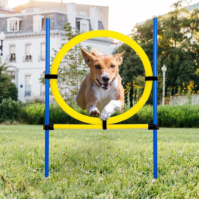 Pet Prime Dog Agility Training Equipment for Dog Obstacle Course Backyard Height Adjustable Jumper Ring Portable Dogs Park Exercise Tool