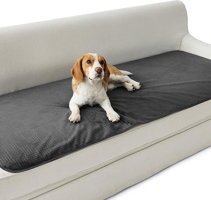 Bedsure Waterproof Couch Cover for Dogs Washable - Waterproof Blanket for Couch Sofa Cozy, Lightweight Furniture Protector for Pet Cat Quick Drying Puppy, Charcoal, 30x70IN
