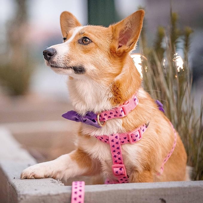 Blueberry Pet Adjustable Flocking Dog Collar with Detachable Velvety Bowtie - Heart in Gothic Grape