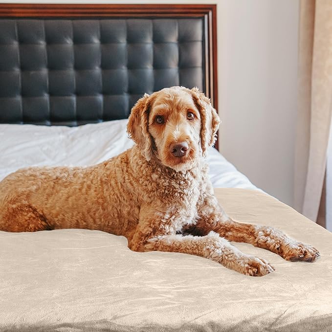 PETMAKER Dog Blanket - 60x80in Reversible Sherpa Blanket - Throw Blankets for Bed, Couch, Crate, or Car - Machine Washable Puppy Essentials (Cream)