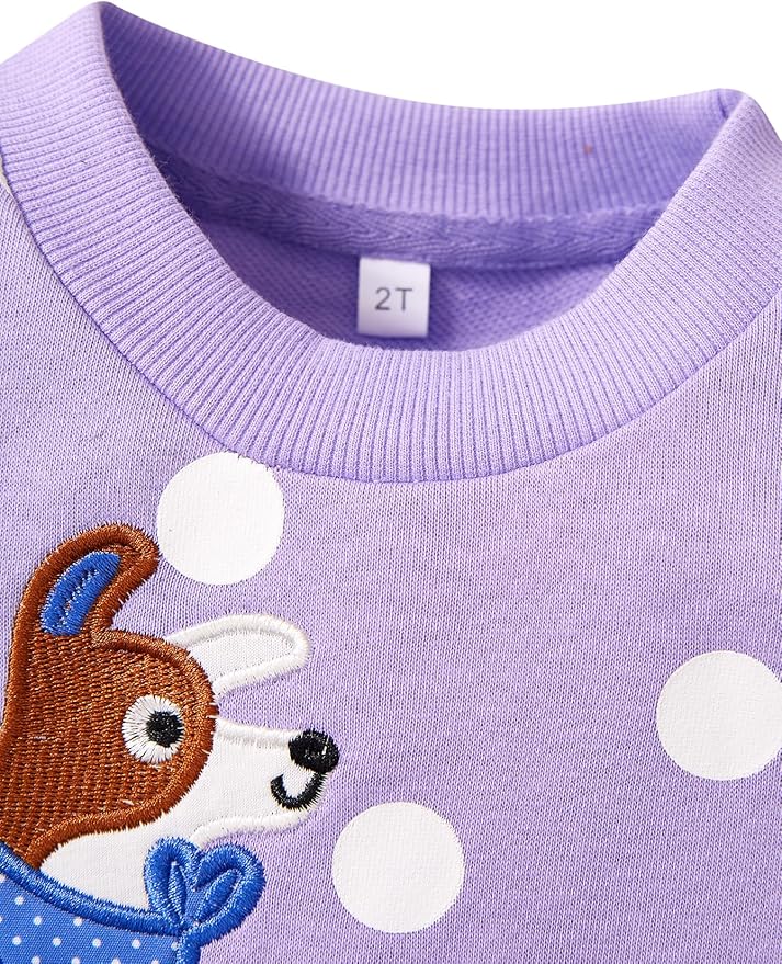 Toddler Baby Girls Cotton Sweater, Long Sleeve Crewneck Sweatshirt Pullover Kids Warm Clothing for Fall Winter