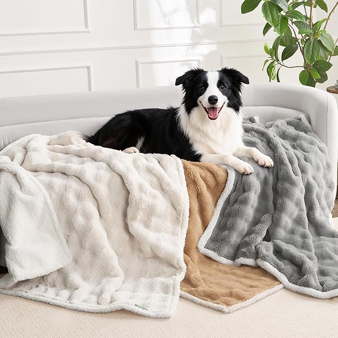 Soft Cozy Waterproof Puppy Blankets for Small Dogs - Room Decor Cat Blanket for Couch Furniture Protector, Washable Dog Blankets for Indoors & Outdoors, Cream, 25"x35"