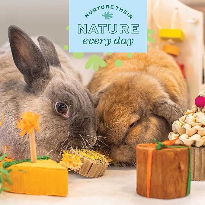 Oxbow Enriched Life Birthday Party Pack, Rabbit & Guinea Pig Toys, Enrichment Pack for Bunny, Hamster, Rabbit, Chinchilla, Rat, Chinchilla Cage Accessories, Guinea Pig Accessories for Cage