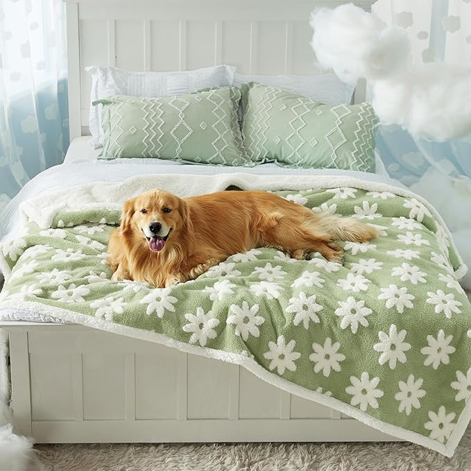 LE SURE Waterproof Dog Blanket for Large Dogs - Washable Double Sided Dog Blankets with Warm Jacquard Shag and Soft Sherpa Fleece, Pet Cat Blanket for Bed Protection, 3D Textured Cloud, Green