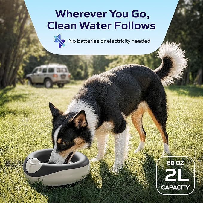 Filtered Portable Dog Water Dispenser [Upgraded 2026], 2L / 68oz, Automatic Pet Water Dispenser Noise-Free No Spill Water Bowl for Dogs, No Power Needed, Ideal for Medium & Large Pets