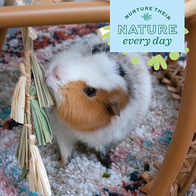 Oxbow Enriched Life Natural Dangly Party Pack, Rabbit Toys, Guinea Pig Toys, Enrichment for Bunny, Guinea Pig, Hamster Stuff, Rabbit Enrichment, Chinchilla, Rat, Chinchilla Cage Accessories