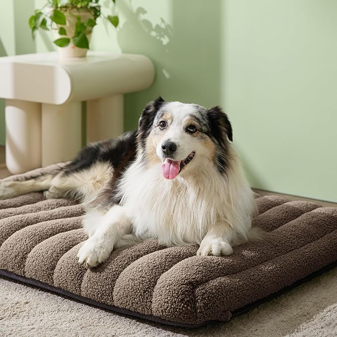 LE SURE Cute Orthopedic Dog Bed Large Sized Dog, Waterproof Chic Flat Pet Beds with Removable Washable Cover, Fuzzy Thick Egg Crate Foam Pet Mat for Indoor Use (36" x 27", Brown)