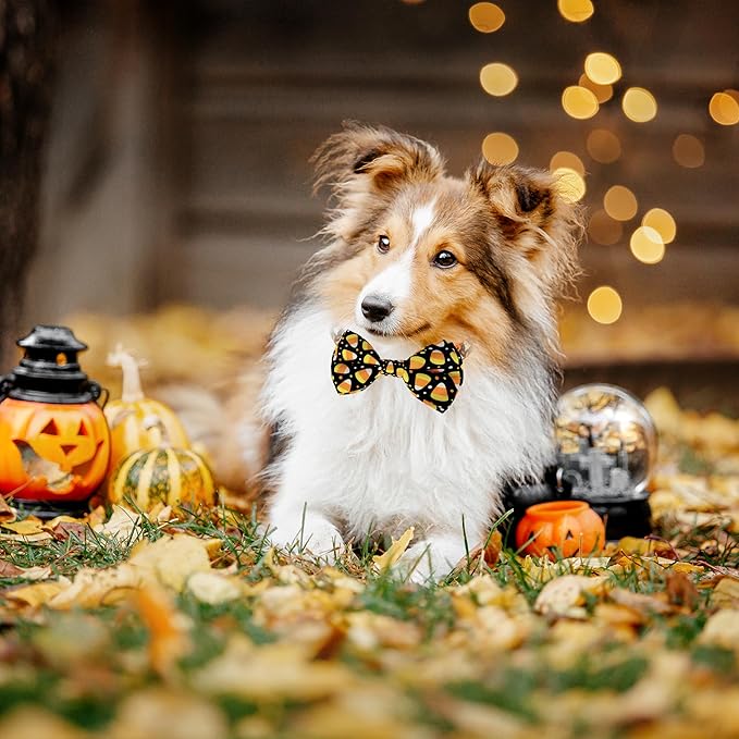 Halloween Dog Bow Tie Collar, Holiday Candy Corn Collar for Large Medium Small Dog Pets Puppies