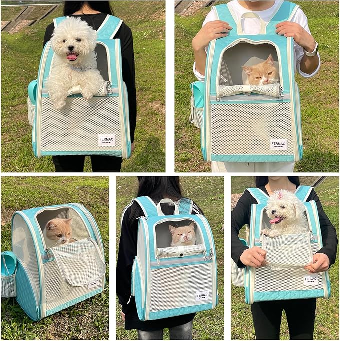 Cat Backpack Carrier for Small Dogs and Medium cat Puppy Kitten Bunny Pet Carrier Backpack Collapsible with Fully Ventilated Mesh with Safety Leash (LightGreen, 12.9" L x 10.62" W x 15.5" H - M)