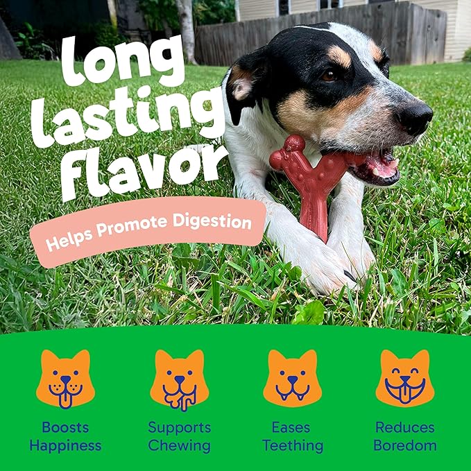Chew'ems Durable Chew Toys for Small Dogs | Long-Lasting & Flavorful Chew Dog Toys, Small Dog Breeds | Salmon-Flavored