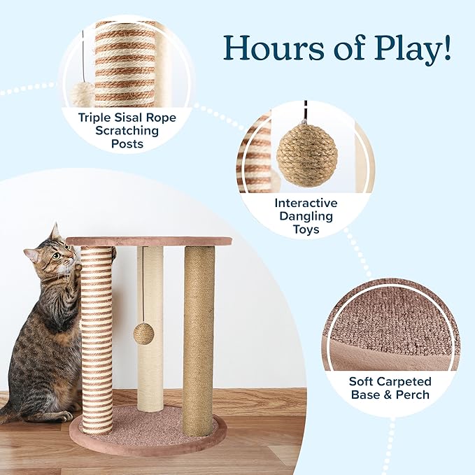 Cat Scratching Post - 3 Scratcher Posts with Carpeted Base Play Area and Perch - Furniture Scratching Deterrent for Indoor Cats by PETMAKER (Brown), Large