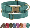 Didog Soft PU Leather Dog Collar, Stylish Quick Released Dog Collars for Small Dogs, Easy Clean Adjustable Pet Collar for Daily Walking, Green, S Fit 10-16" Neck
