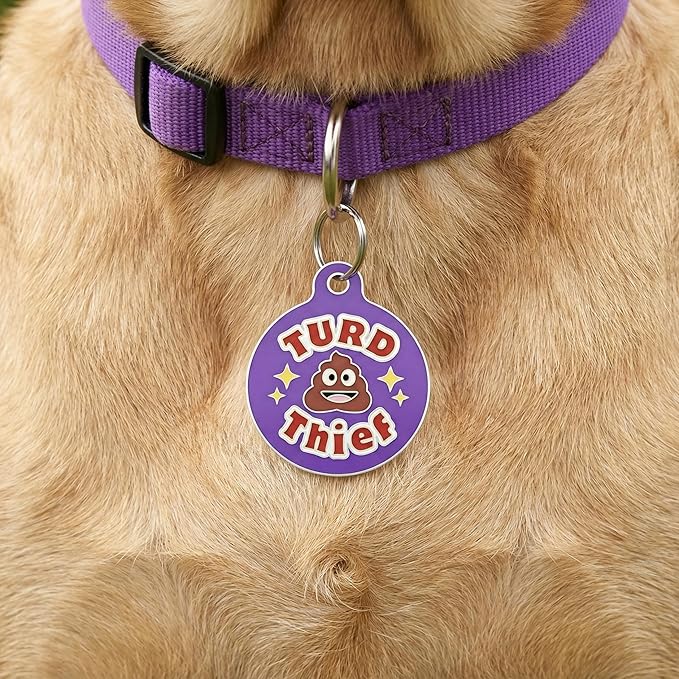 Bad Tags Personalized Dog and Cat ID Tags in 25+ Designs and 2 Sizes - 5 Lines of Custom Engraved Text - Funny Cute Personalized Pet Tags (Turd Thief, Small (1 inch))