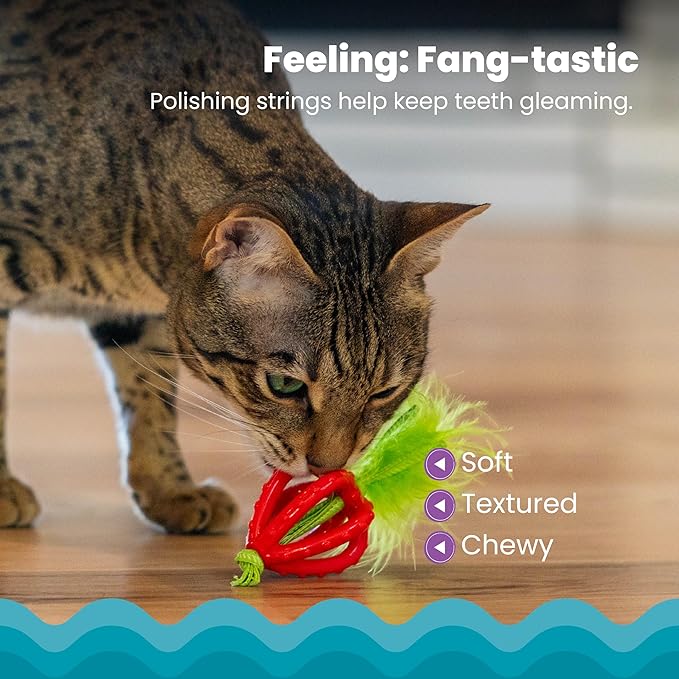 Catstages Dental Strawberry Teether, Soft and Textured Cat Chew Toy, Catnip Oil Coating, Pink