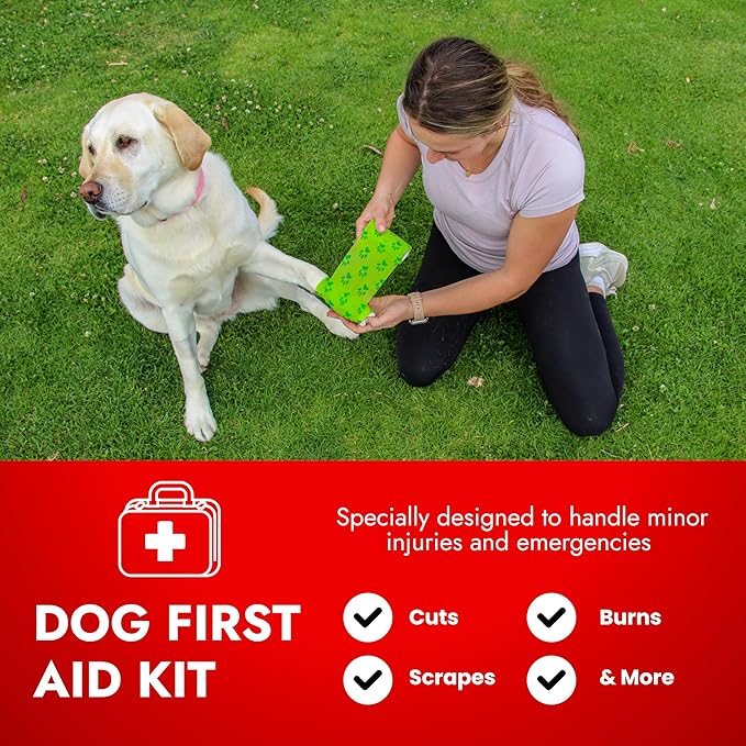 Cat & Dog First Aid Kit - Dog Emergency Kit, Health Supplies & Wound Care -with Thermometer, Bandages for Wounds - Essentials, Travel Bag (Large)