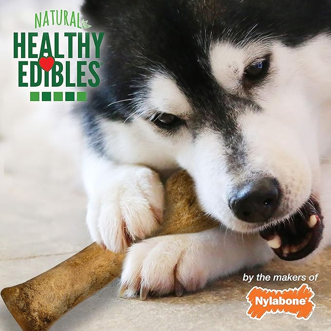 Nylabone Healthy Edibles Natural Dog Chews, Long Lasting Bones for Dogs, Roast Beef & Chicken Flavor Dog Treats, X-Large (4 Count)