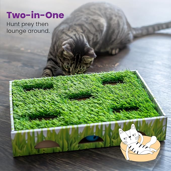 Catstages Grass Patch Hunting Box - Interactive Indoor Cat Toy with Faux Grass & 3 Jingle Balls - Encourages Exercise, Mental Stimulation & Natural Hunting Instincts