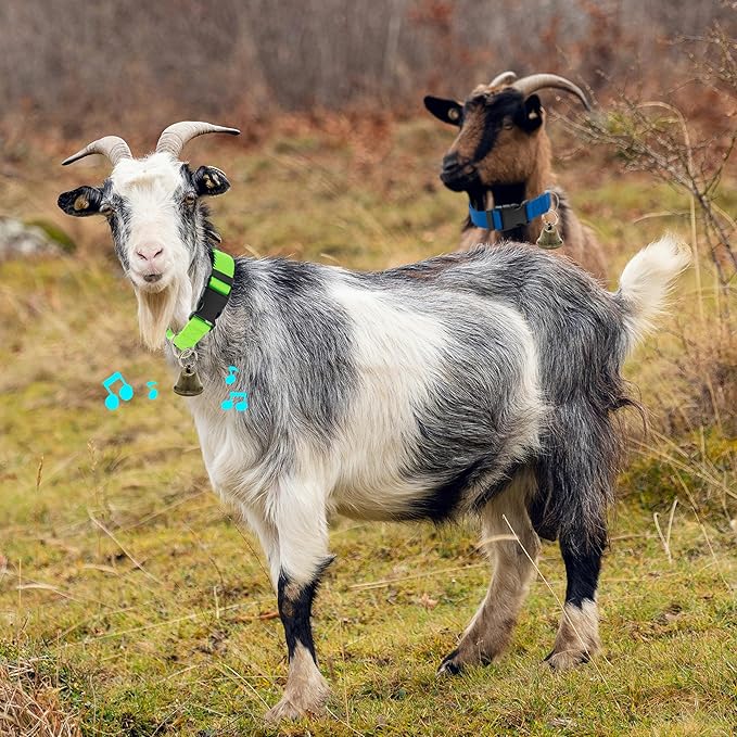 3 Pack Goat Collars with Bells, Adjustable Pet Collar & Anti-Lost Loud Bronze Grazing Copper Bells Accessories for Small Farm Animal Sheep Cow Goat (Neck 13.8"-20.9")