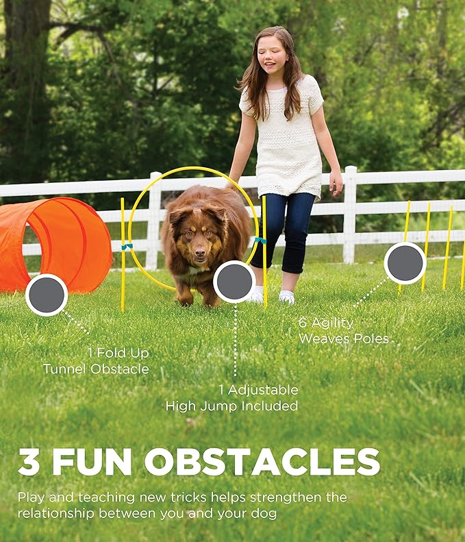 Outward Hound Zip & Zoom Outdoor Dog Agility Training Kit for Dogs