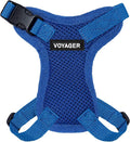 Voyager Step-in Lock Adjustable Cat Harness w. Cat Leash Combo Set with Neoprene Handle 5ft - Supports Small, Medium and Large Breed Cats by Best Pet Supplies - Royal Blue, XXXS