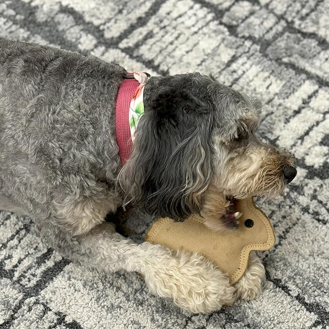 SPOT Dura-Fused Leather Rabbit Dog Toy – Durable Real Leather & Jute Chew Toy with Squeaker, Double-Stitched for Moderate Chewers, Small & Medium Dogs, 7.5in