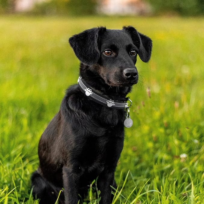 PETCARE Reflective Dog Collar with Cute Paw Rivet Studded Funny Soft PU Leather Adjustable Puppy Dog Collars for Small Medium Large Dogs Cats (Black,Small)