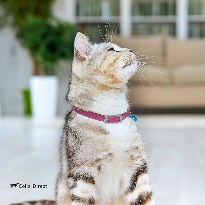 CollarDirect Leather Cat Collar with Removable Bell (Pink, 8-11 Inch)